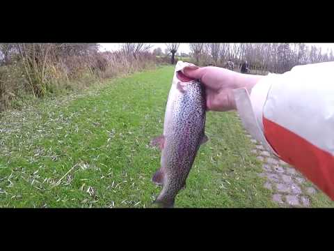 Top Fails my Fishing trout || Fishing in netherlands 4K