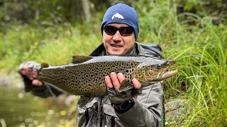 РЫБОЛОВНЫЕ ПРИКЛЮЧЕНИЯ В КАРЕЛИИ,  ТРОФЕЙНАЯ КУМЖА сезона 2021, лучшая trout рыбалка.