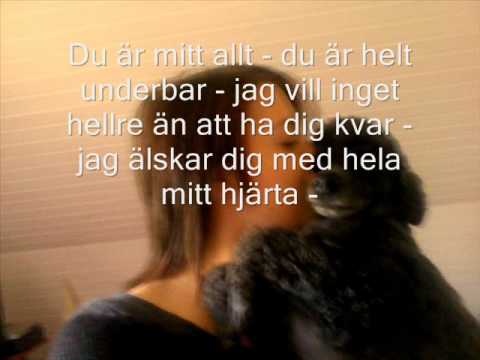 Video: Vad är kärlekens fulla mening?