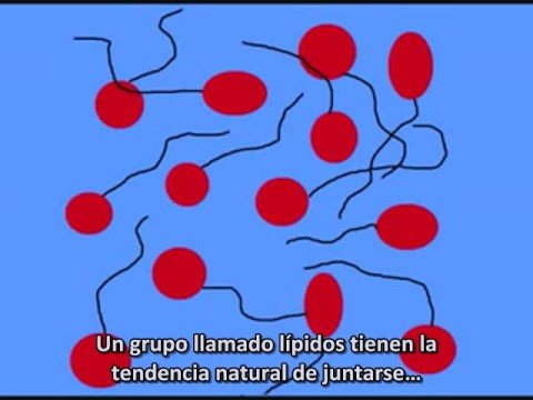 Vídeo: Las Paradojas Del Origen De La Vida - Vista Alternativa