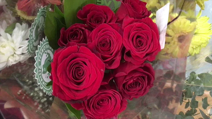 Volunteering with Good Neighbors, Green Advocates, Section 2, Group 10, April 24, 2017