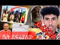 "ሴት ደፍሬያለው" በረከት,የሼህ አብዲ ያሲን ገዳይ መያዝ, የፋኖ ኦፕሬሽን በጎንደር,|abaytv|fano|merejatv|donkeytub|gondorethiopia