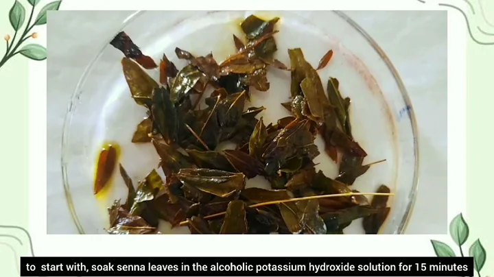 (Practical) Determination of stomatal number and stomatal index of senna leaf