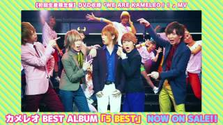 カメレオ 2015/1/7（水）リリース「5 BEST」 SPOT④ - YouTube
