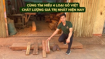 4 Loại Gỗ Tốt Và Giá Trị Nhất Việt Nam  - Đồ Gỗ Quân Nga