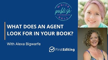 What Does an Agent Look for in Your Book?