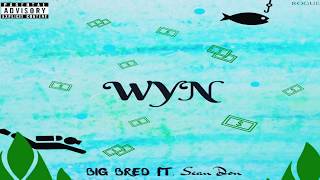 What You Need (WYN)  feat. Sean Don Lyrics