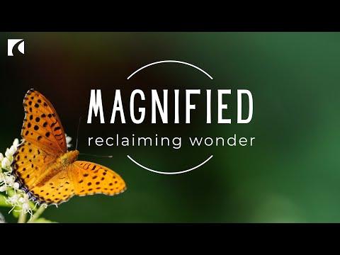 Magnified: Servant Leadership || Acts 20:22 - 35 || August 24, 2025