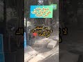 خرفان تقتل بعضهم البعض حيوانات الخرفان تضرب بعض في الشارع