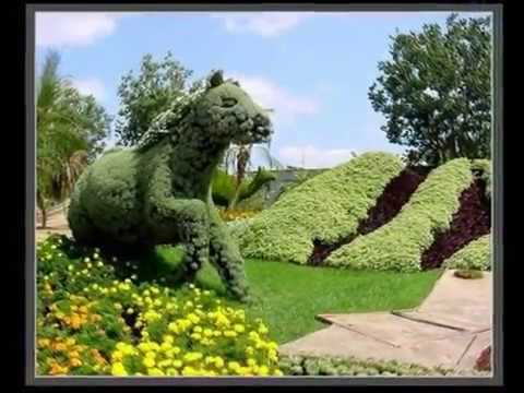 садово ландшафтный дизайн