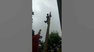 Cái kết của việc trèo cột điện mà anh ta không biết gì về điện