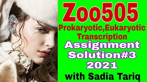 Zoo505 Prokaryotic,Eukaryotic Transcription Assignment Solution#3 || 2021 || with Sadia Tariq