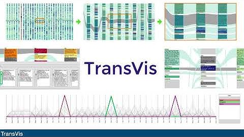 TransVis Fast-Forward Preview for the IEEE VIS Conference, 25-30 Oct 2020