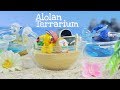Alola pokemon terrarium collection unboxing 2  rement  