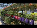 What's New at Lowe's Garden Center? Beautiful Plant Inventory Walkthrough