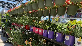 What's New at Lowe's Garden Center? Beautiful Plant Inventory Walkthrough