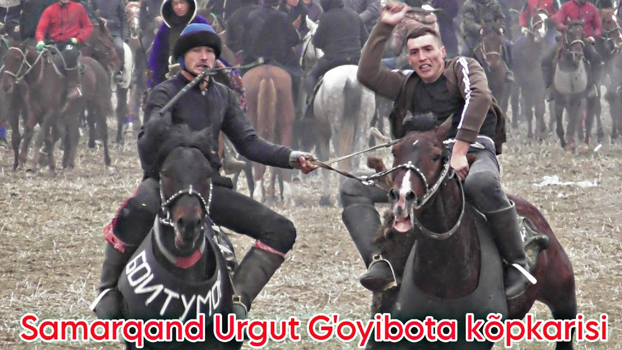 Samarqand Urgut Goyibota ko‘pkarisi @Alisher_24  (to'liq qism)