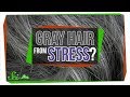 Will Stress Really Make You Go Gray?