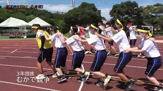 ムカデ競走の必勝法とは?並び順から基本姿勢、練習方法まで紹介