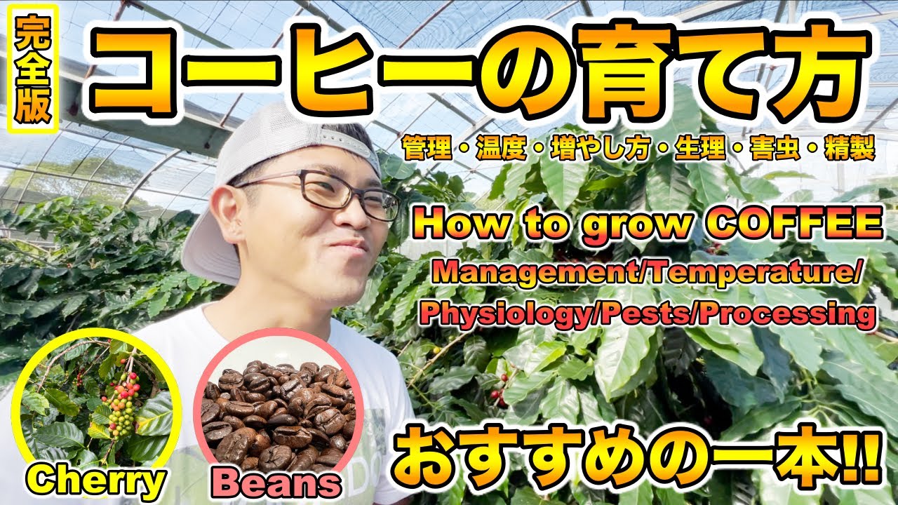 プロ農家が教えるコーヒーの育て方・管理の方法，増やし方，生理，害虫，精製過程など【ハーモニーファーム 比嘉さん】