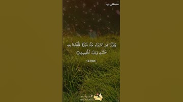 آيات بينات من سورة ق بصوت القارئ مصطفى جيد