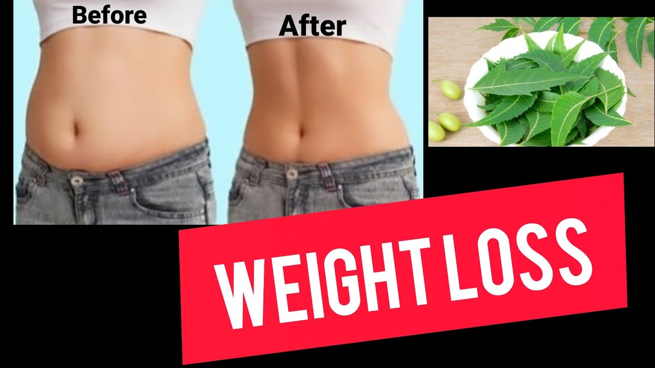 Weight Loss Drink Neem Tea YouTube
