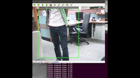 Tiny YOLO (Movidius Neural Compute Stick)