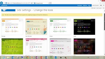 SharePoint 2013 - Look and Feel