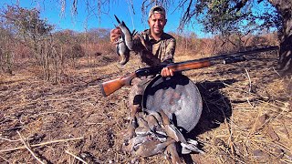 Caza Y Cocina Al Disco | Palomas Ala Blanca