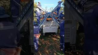 Apple 🍎 Harvesting With Revo Harvesting Platform || Made By Revo Srl Italy || #Shorts