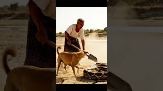 MUST SEE! Grandma vs. Giant Snake - Fight for Survival on the Plains Wealth