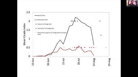 Cuckoo Symposium: Cuckoo Research