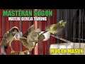 MASTERAN SOGON MUDAH MASUK MATERI GEREJA TARUNG