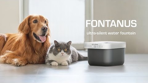 Stylies Cibus & Fontanus Demo video