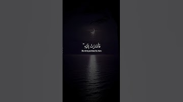 فأتت به قومها تحمله #سورة مريم #القارئ شريف مصطفى #اجر لي ولكم