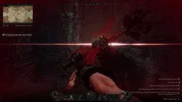 Dungeonborne BOSS FIGHT AND CLASS OPTIONS