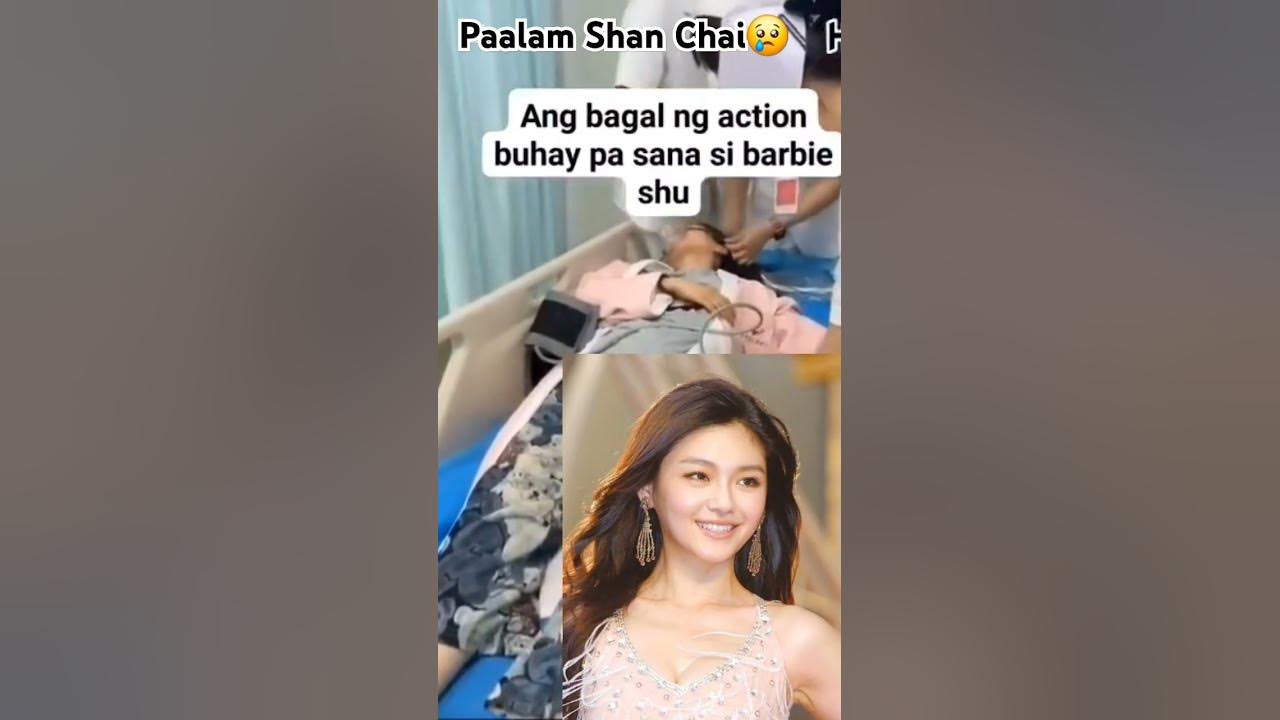 Paalam Shan Chai 😢😢😢😢😢😢#barbiehsu #meteorgarden #shancai