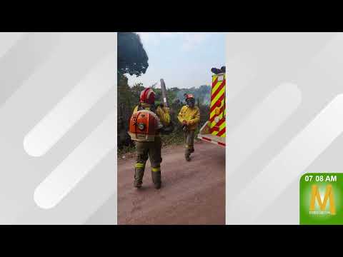 Tres incendios forestales durante el fin de semana en San José del Guaviare