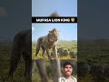 #lion #wildlife #animals #phonk #ihavethisthingwithplants #explorenow #lifeisbutadream #facts