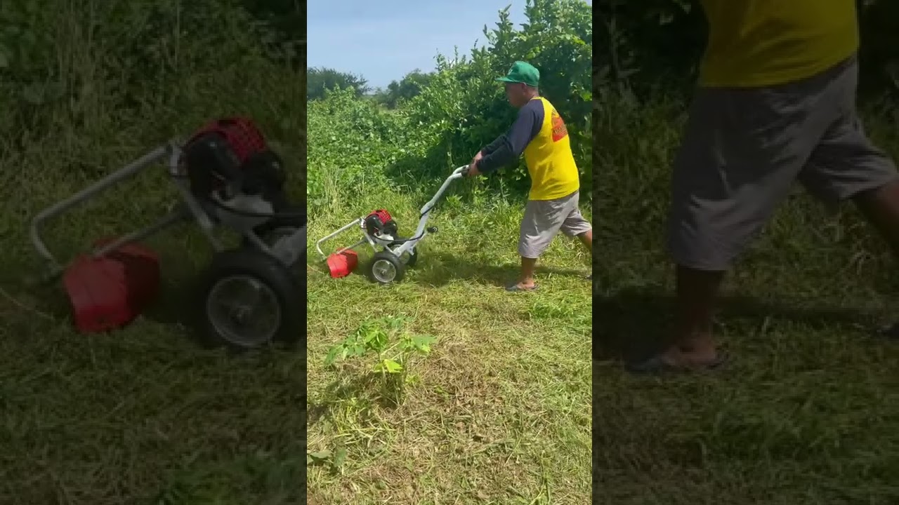 Push Brush Cutter Weeding Machine With Tillers