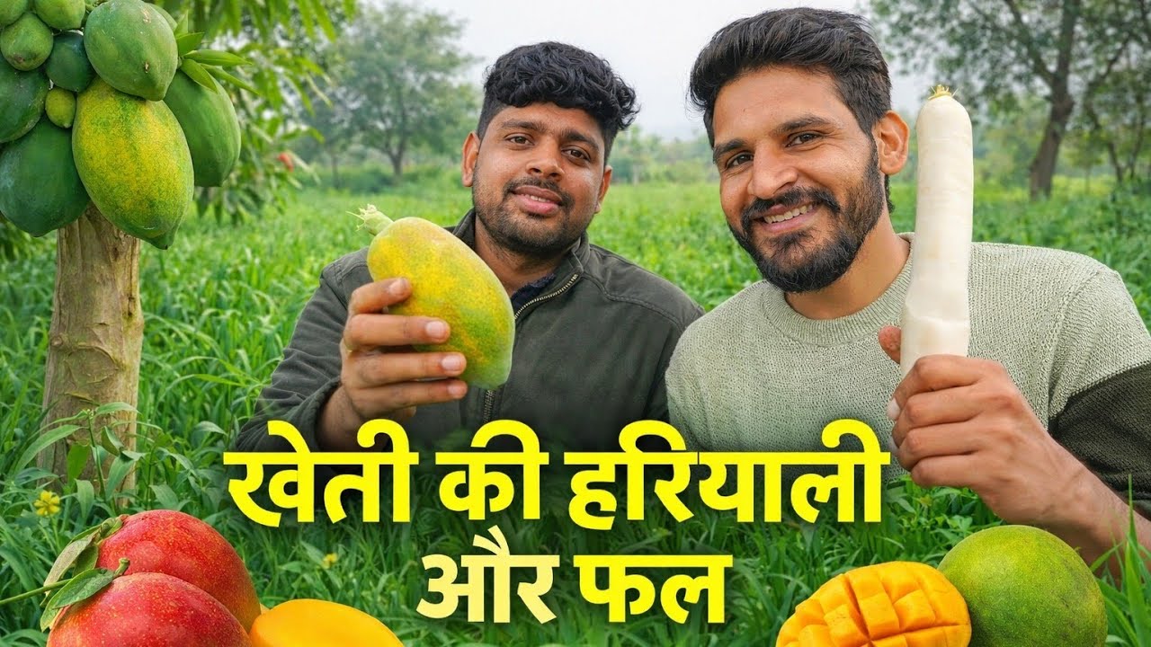 खेत की हरियाली और देसी फल 🍃 | सुकून भरा वीडियो!@premmachiwal562 