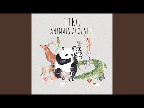 Quetzal (Acoustic)