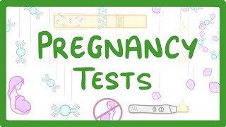GCSE Biology - How do Pregnancy Tests Work? #41