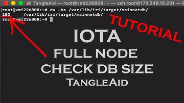 IOTA: How to check the DB size of your Full Node | IRI-Playbook