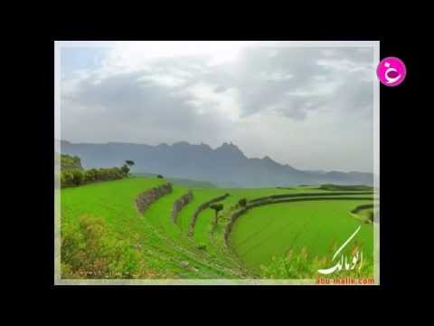 ايوب طارش ارجع لحولك