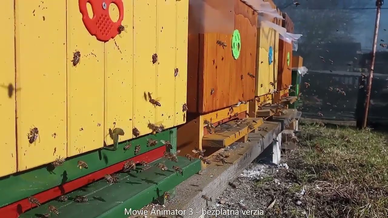 017  28 02 2026 prvý jarný prelet