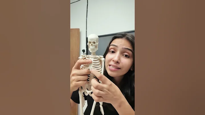 206 Bones of Human Body in 1 Minute #tricks #neet2025 #drrakshitasingh thumbnail