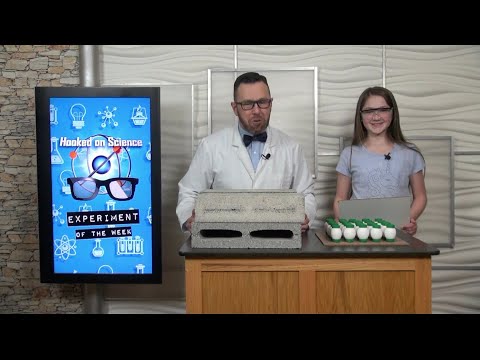 Hooked on Science: