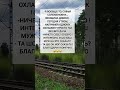 юмор приколі мемі смешное видео юмор шуточное цитатыосмысле анекдоты цитатыпрожизнь юмор приколі мемі смешное видео юмор шуточное цитатыосмысле анекдоты цитатыпрожизнь