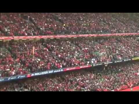 Wales v Ireland 6 nations 2009